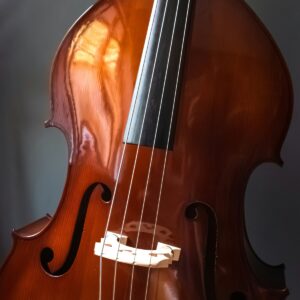 Double Bass